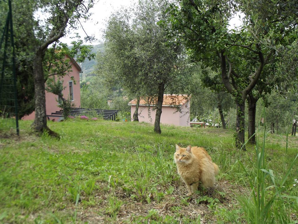 Agriturismo Brasino Fosdinovo Camera foto